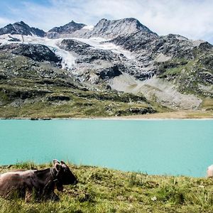 Albergo Meublè Stelvio